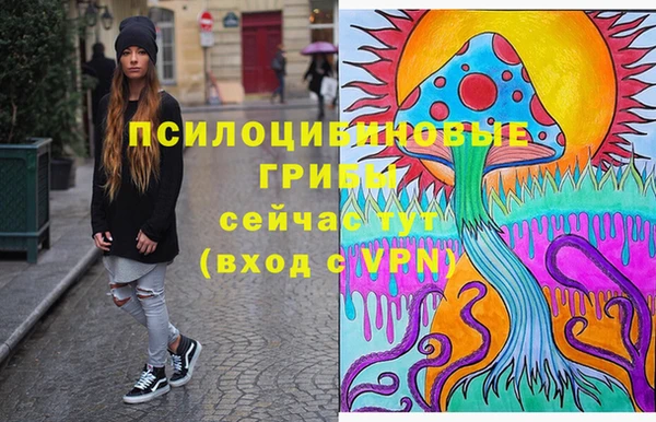 дживик Медногорск