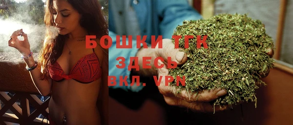 Альфа ПВП Мегион