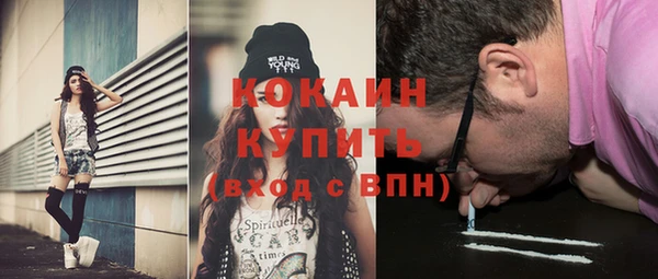 соль ск Медвежьегорск
