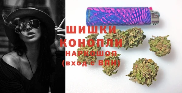 Альфа ПВП Мегион