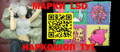 ГАЛЛЮЦИНОГЕННЫЕ ГРИБЫ Заволжье