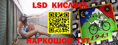 стаф Заводоуковск