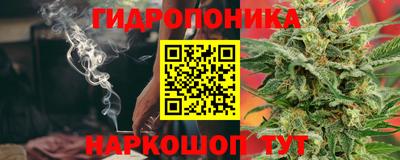 ГАЛЛЮЦИНОГЕННЫЕ ГРИБЫ Заволжье