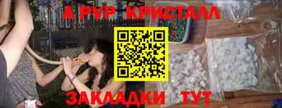 стаф Заводоуковск