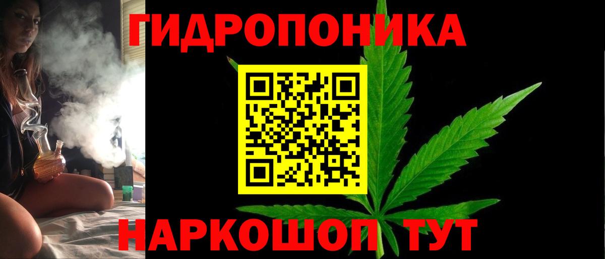 Бошки марихуана OG Kush Тулун